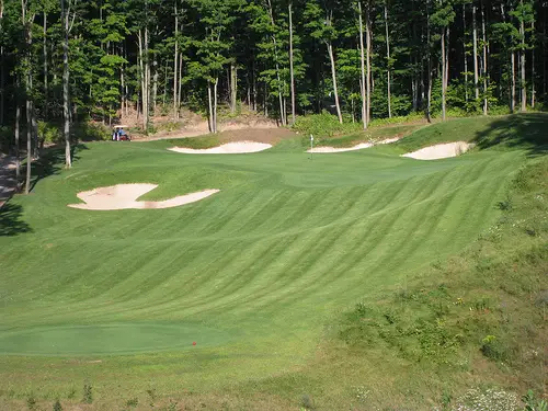 Image of Treetops Masterpiece  Gaylord MI