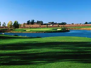 Image of Rooster Run Petaluma CA