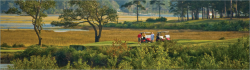 Photo of Rivers Edge Golf Club Shallotte NC
