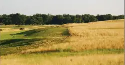 Photo of Calderone Golf Club Jackson MI