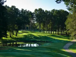 Photo of Candlestone Golf Resort Belding MI