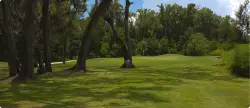 Photo of Sapelo Hammock Golf Club Townsend GA