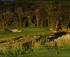 Image of River Valley Ranch Golf Club Carbondale, CO