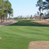 Image of Farmville Country Club Farmville, NC