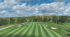 Image of Pheasant Country Golf Course South Heart, ND